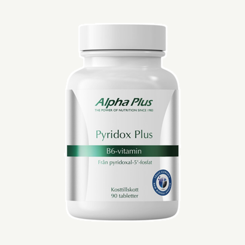 PyridoxPlus 90t